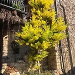 Panzió Torre De Salis 4*