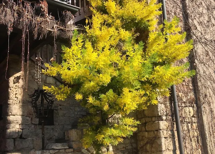 ベッド・アンド・ブレックファスト Torre De Salis 4*